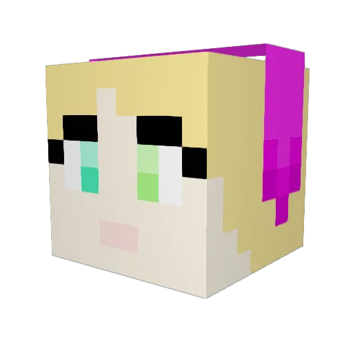 james917 Minecraft avatar head, 3D render