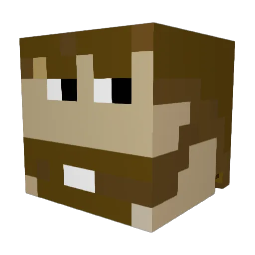 jamesSTEEL42 Minecraft avatar head, 3D render