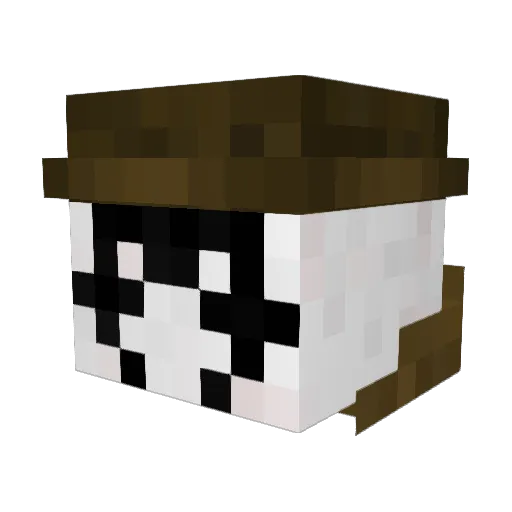 james_com Minecraft avatar head, 3D render