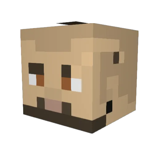 james_stutt Minecraft avatar head, 3D render