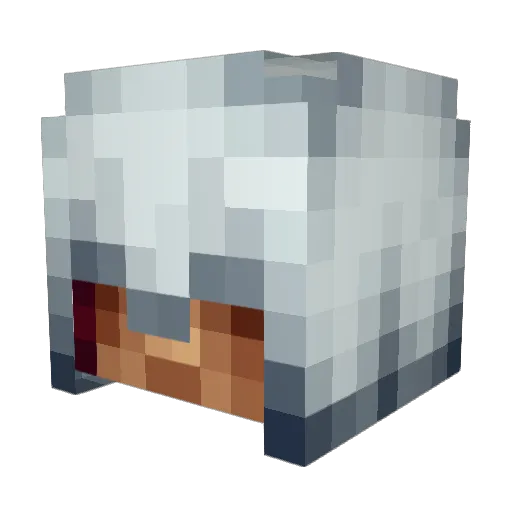 james_thomson888 Minecraft avatar head, 3D render