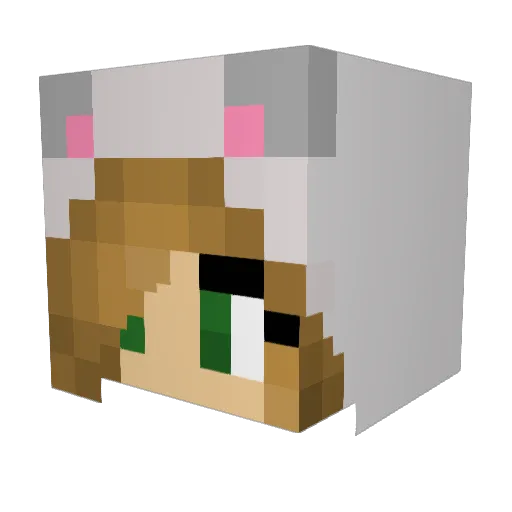 jamesd53 Minecraft avatar head, 3D render