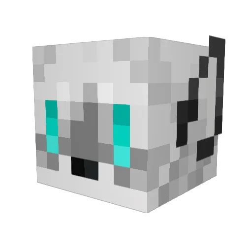 jameskaden Minecraft avatar head, 3D render