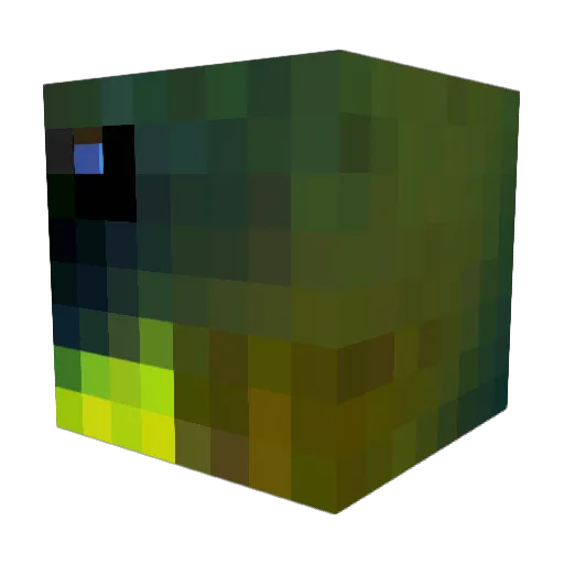 jameskk19 Minecraft avatar head, 3D render