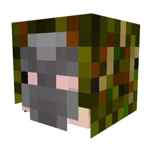 jamesml2000 Minecraft avatar head, 3D render