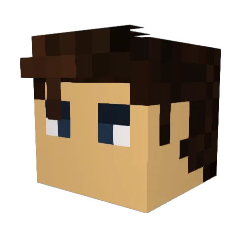 jamestownLATX4 Minecraft avatar head, 3D render
