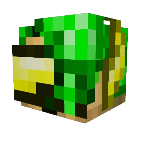 jamesxx13 Minecraft avatar head, 3D render
