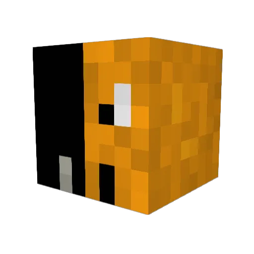 jamhoop Minecraft avatar head, 3D render