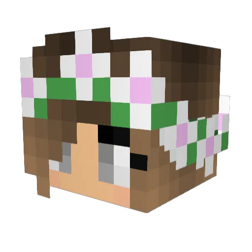 jamie22 Minecraft avatar head, 3D render
