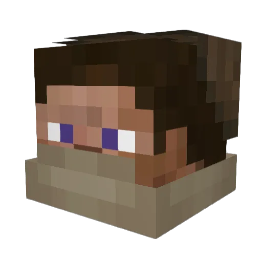jamis_n Minecraft avatar head, 3D render