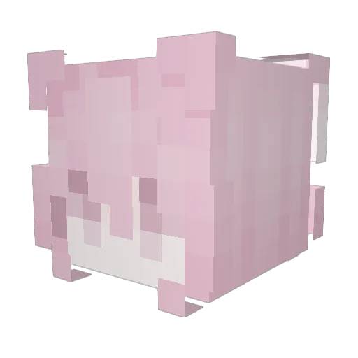 jammanbo08 Minecraft avatar head, 3D render