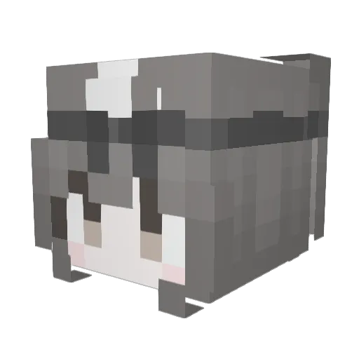 jammer27nd Minecraft avatar head, 3D render