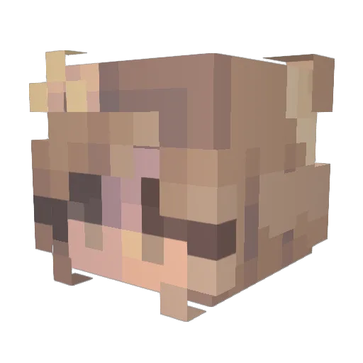jammmidiah Minecraft avatar head, 3D render
