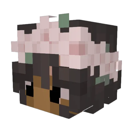 jammyjamss Minecraft avatar head, 3D render