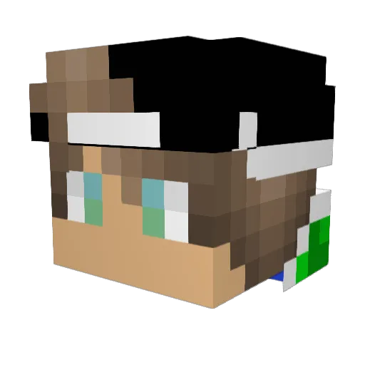 jamontoast445 Minecraft avatar head, 3D render