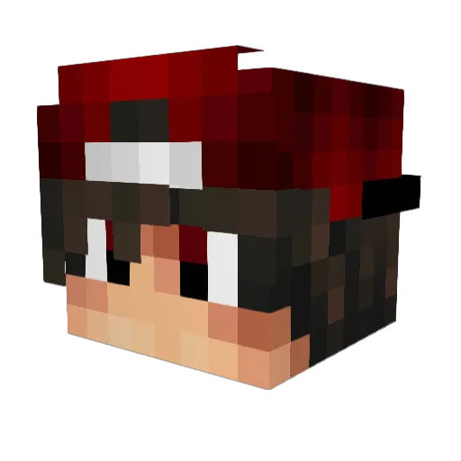jamos_koes Minecraft avatar head, 3D render