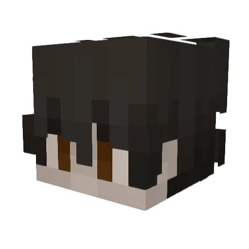 jamsiggle Minecraft avatar head, 3D render