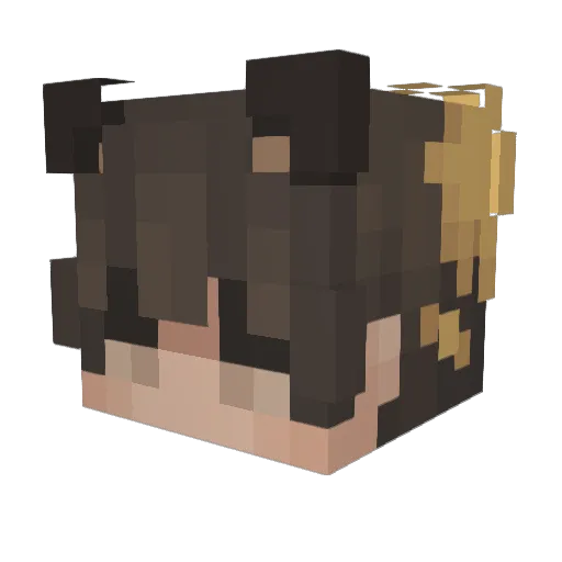 jamsung Minecraft avatar head, 3D render