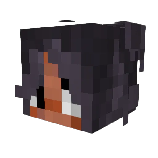 jamtail Minecraft avatar head, 3D render