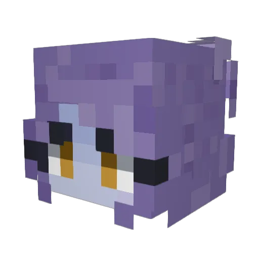jamycarpe Minecraft avatar head, 3D render
