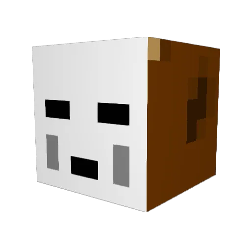 jan_pakistan Minecraft avatar head, 3D render