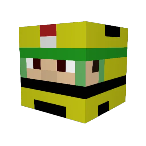 jan_z0nder_vrees Minecraft avatar head, 3D render