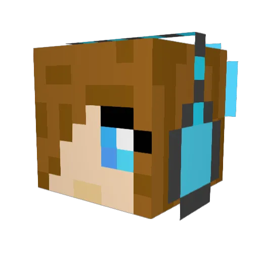 janadanz Minecraft avatar head, 3D render