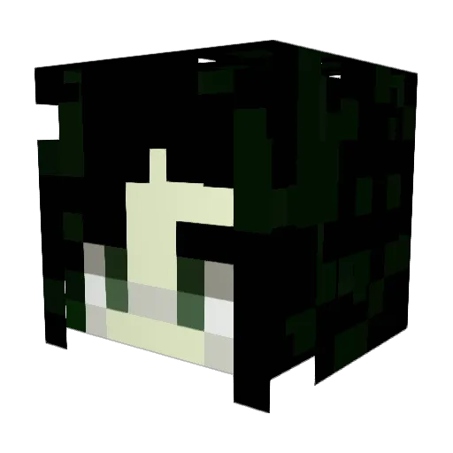 janalikesmc Minecraft avatar head, 3D render