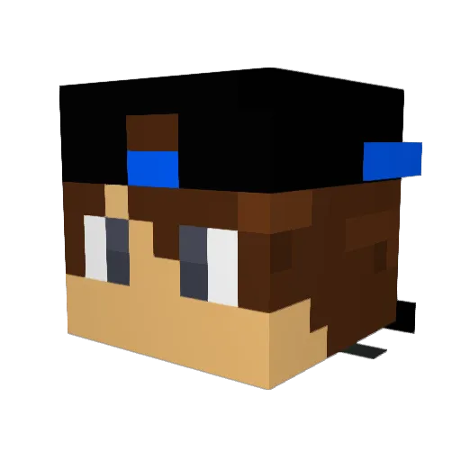 janarell75 Minecraft avatar head, 3D render