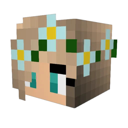 janatjee Minecraft avatar head, 3D render