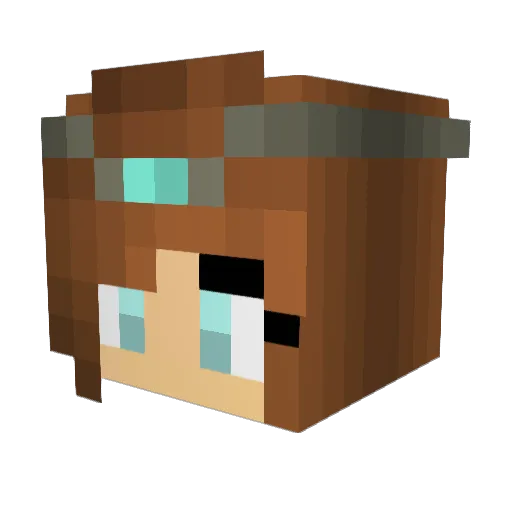 jander2104 Minecraft avatar head, 3D render