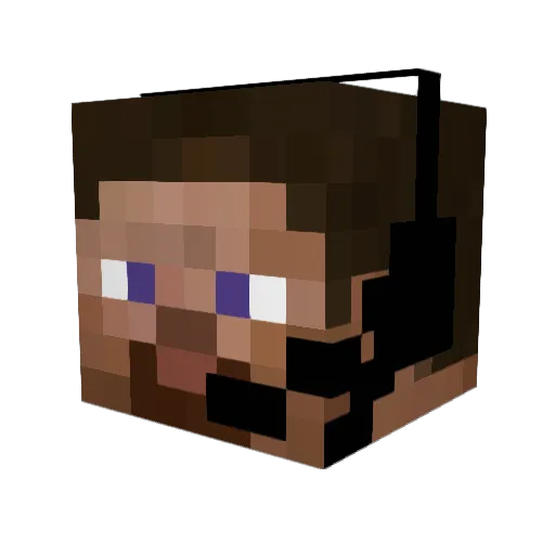 jandis101 Minecraft avatar head, 3D render