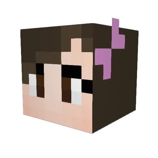 jandranz Minecraft avatar head, 3D render