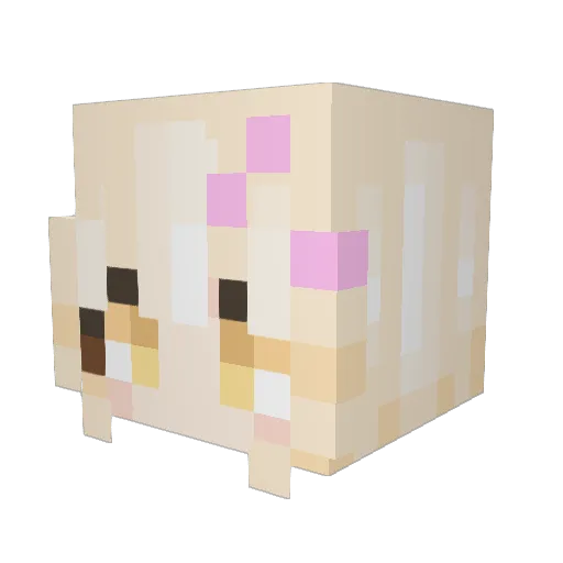 janecerys Minecraft avatar head, 3D render