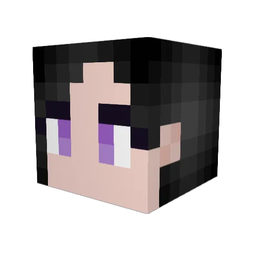 janef Minecraft avatar head, 3D render
