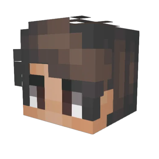 janek002 Minecraft avatar head, 3D render