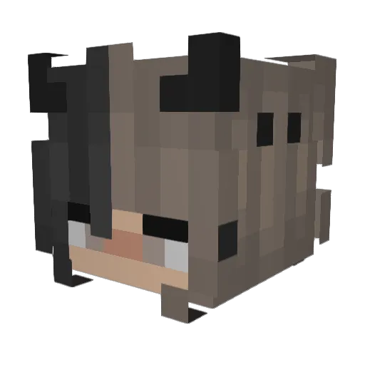 janeunicorn Minecraft avatar head, 3D render
