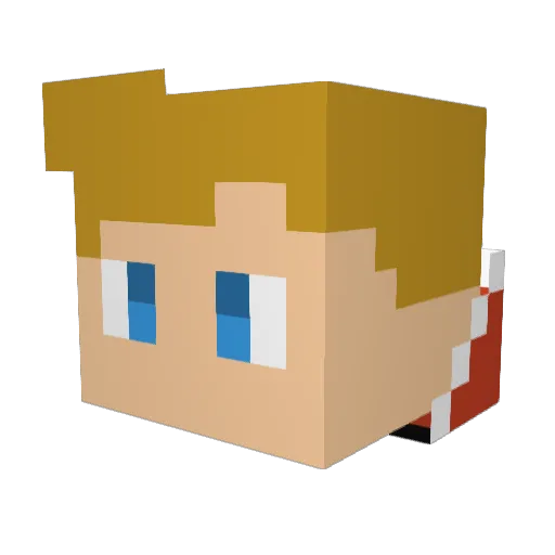 janfe735 Minecraft avatar head, 3D render