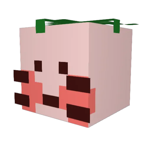 jang1007 Minecraft avatar head, 3D render