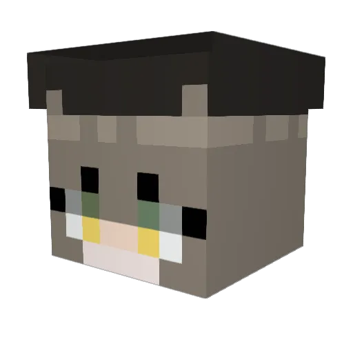 jangdole Minecraft avatar head, 3D render