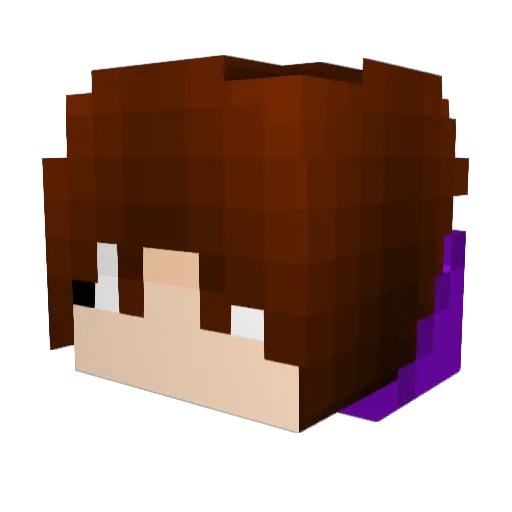 jangeo_ Minecraft avatar head, 3D render