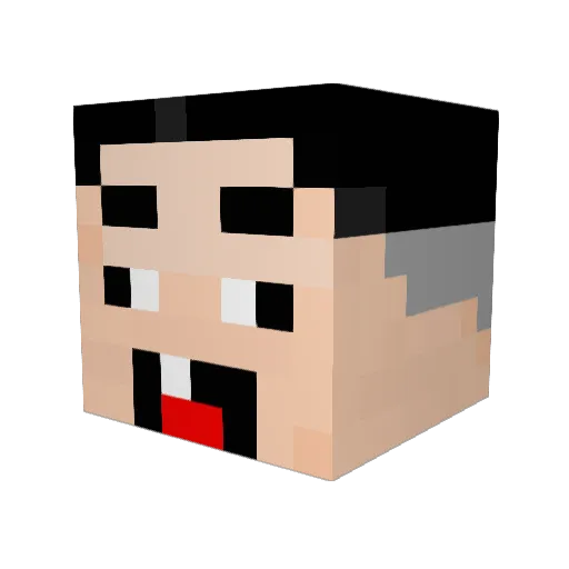 jangiback Minecraft avatar head, 3D render