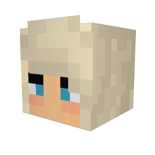 jangsterrr Minecraft avatar head, 3D render