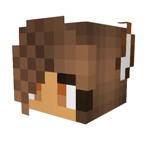 janhaya11 Minecraft avatar head, 3D render