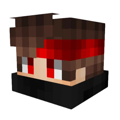 jani2110 Minecraft avatar head, 3D render