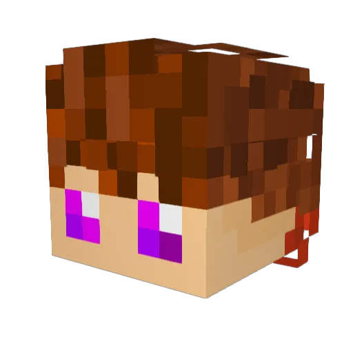 jani262 Minecraft avatar head, 3D render