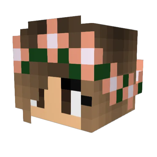 jani8800 Minecraft avatar head, 3D render