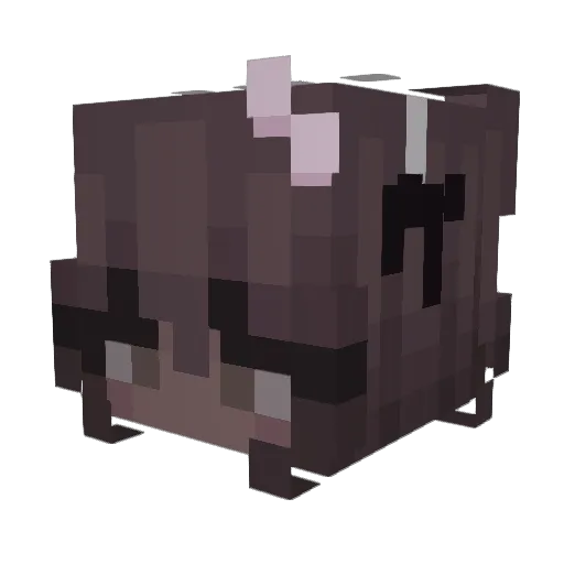 janiezzy Minecraft avatar head, 3D render