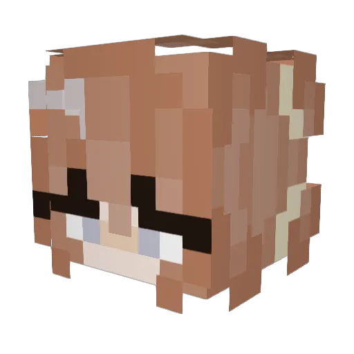 janinipanini12 Minecraft avatar head, 3D render