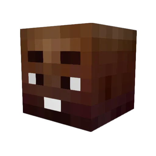 janis_S Minecraft avatar head, 3D render